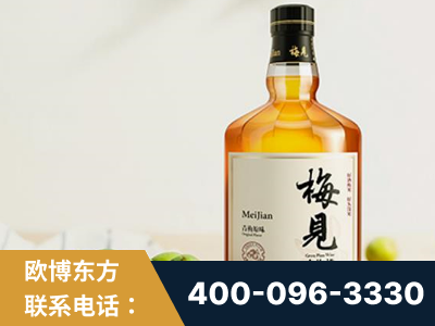 绍兴-梅见青梅酒